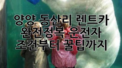 🌊 양양 동산리 렌트카 완전정복! 운전자 조건부터 꿀팁까지 🚗